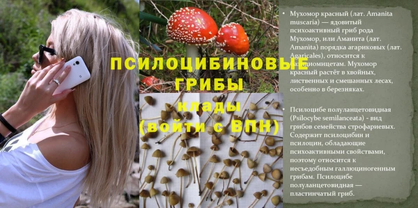 mdpv Осинники