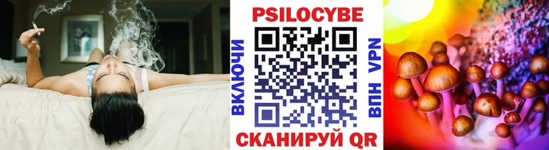 Псилоцибиновые грибы Psilocybe  Пустошка 